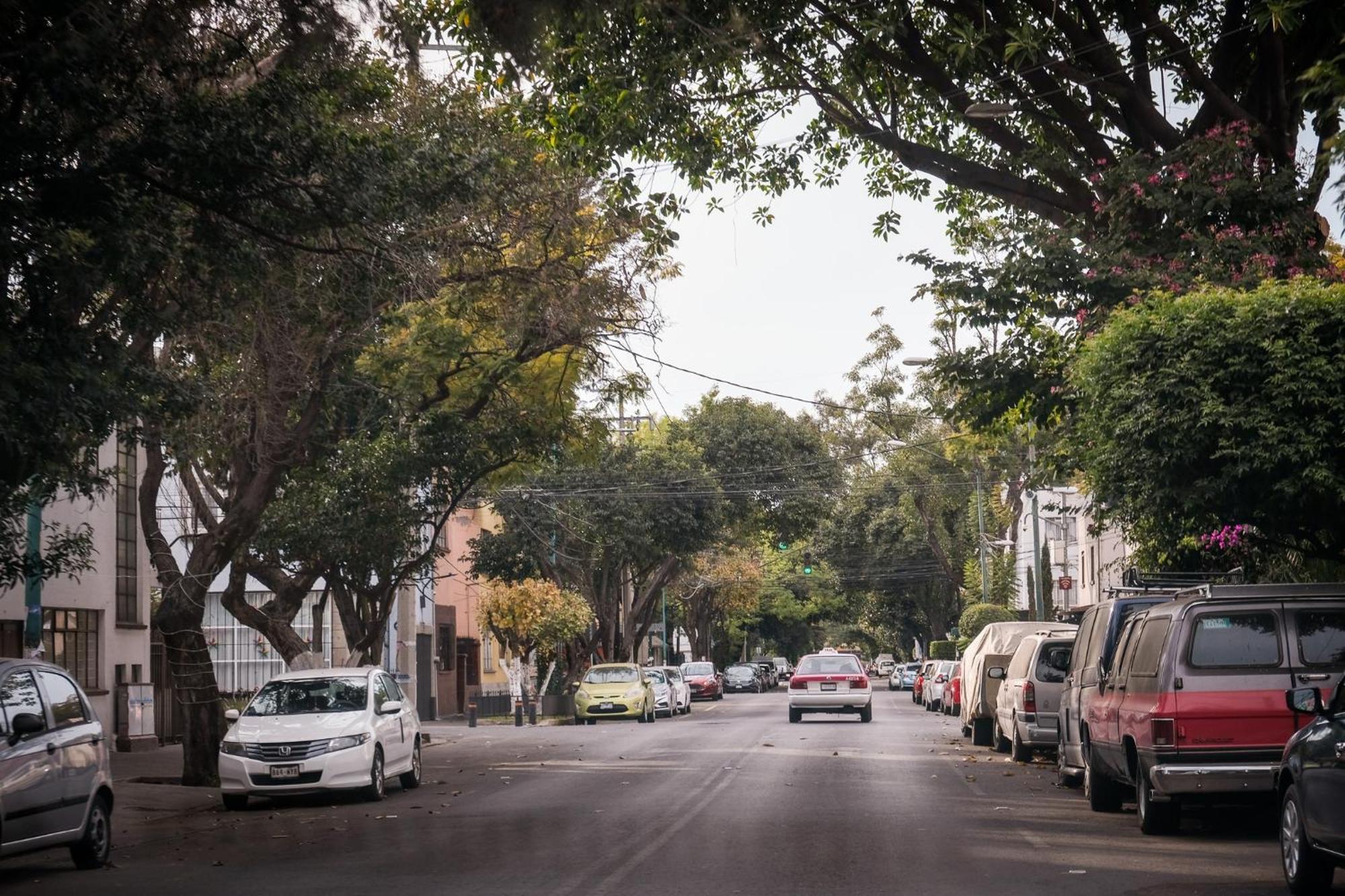 Modern Studio, Rooftop Charm, Cdmx Center2 Mexico-stad Buitenkant foto